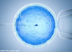 专业同性供卵助孕收费标准